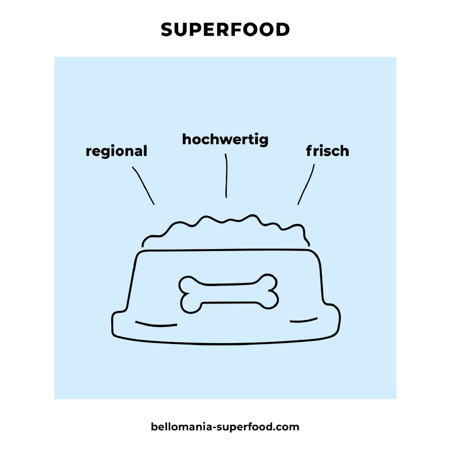 Welche Lebensmittel sind giftig für meinen Hund?