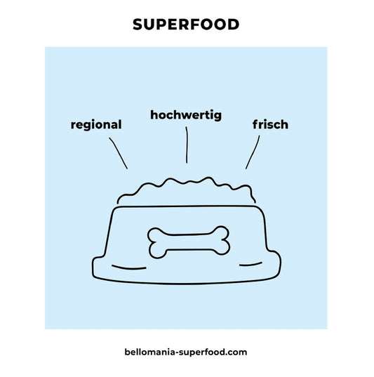 Welche Lebensmittel sind giftig für meinen Hund?