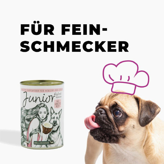 Warum ist Quinoa gut für meinen Hund?