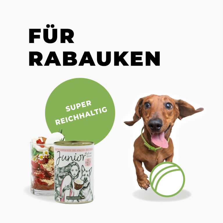 Die Wirkung von Seealge im Hundefutter